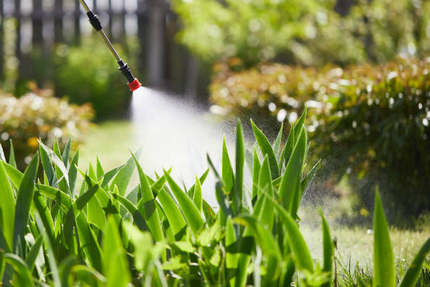 24/7 Emergency Termite Control experts in St. Maries, ID