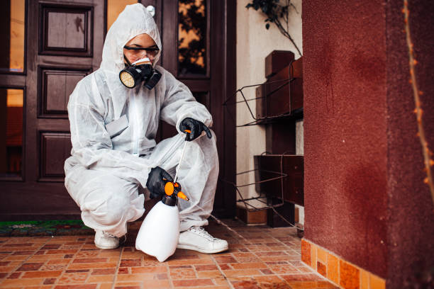 Reliable Termite Control contractor in St. Maries, ID by Nex Pest Control