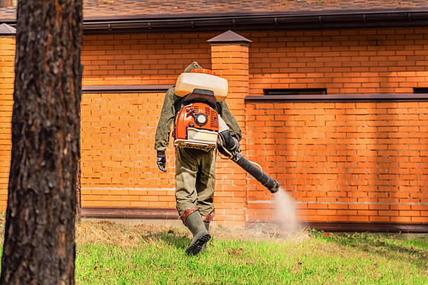 Top rated local Termite Control specialists in St. Maries, ID